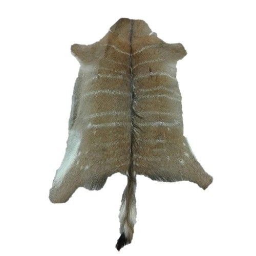 Tappeto in pelle Nyala africana 95x80 cm Zerimar - 1