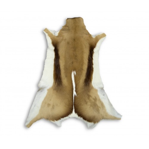 Tappeto gazzella Springbok in pelle naturale 95x60 cm Zerimar - 1